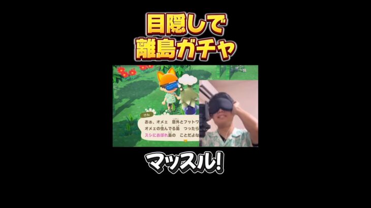目隠しで離島ガチャした結果w【あつ森】
