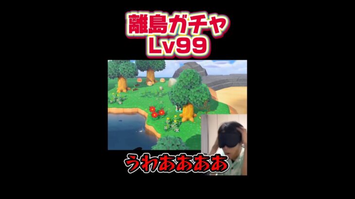 【あつ森】目隠しで離島ガチャしたら奇跡起きたw【あつまれどうぶつの森】