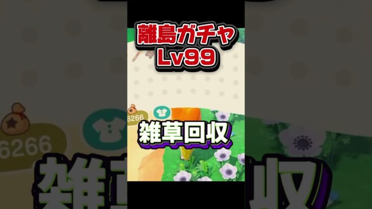 【あつ森】離島ガチャを目隠しでやったらカオスw