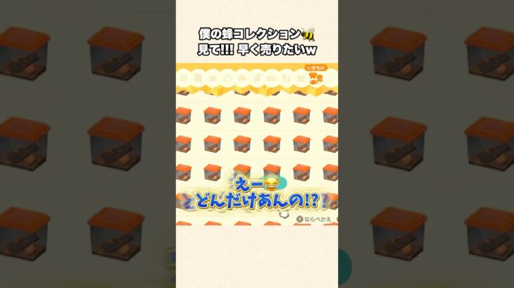 【あつ森】莫大なベル稼ぎ方法？とんでもない量の蜂コレクションw【あつまれどうぶつの森】#shorts #あつ森