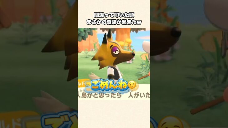 【あつ森】まさかの奇跡が起きましたw【あつまれどうぶつの森】#shorts #あつ森