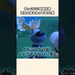【あつ森】え？和風住民の笠が小さすぎる問題w【あつまれどうぶつの森】#shorts #あつ森