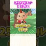 早すぎ！！最速で1万ベル稼げる！？！？【あつ森】