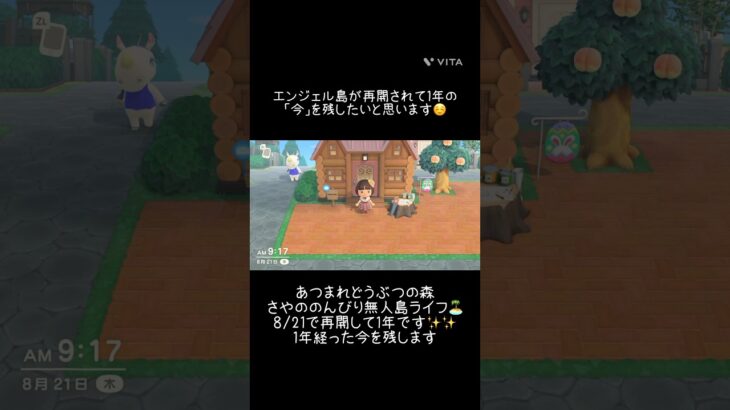 【あつ森】エンジェル島始動から1年が経ちました✨いまを残しておこうと思います🗒️ #あつ森 #あつまれどうぶつの森 #あつ森好きと繋がりたい