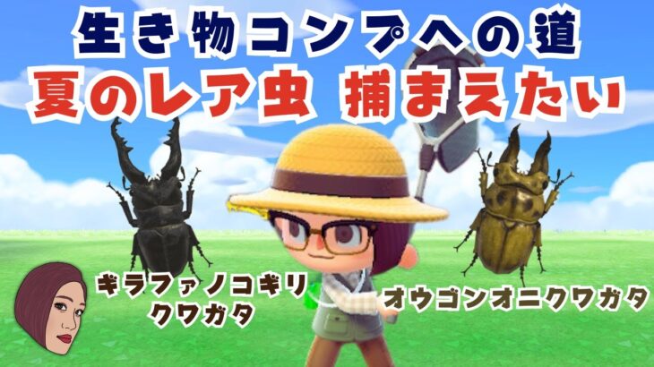 【あつ森】#1🪲８月のレアなクワガタ虫を捕まえて生き物コンプを目指そう【ムシとり】