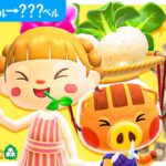 【あつ森】100万ベルを”カブ”で増やす🌱🌱🌱【お金稼ぎ】