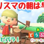 【あつ森 ハピパラ】カリスマの朝は早い。朝活ハピパラ！あと100件作りたい！【ACNH】【あつまれどうぶつの森】【ライブ配信】