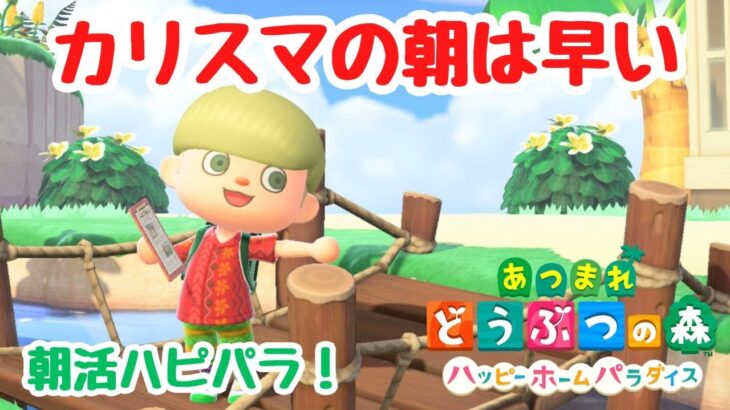 【あつ森 ハピパラ】カリスマの朝は早い。朝活ハピパラ！あと100件作りたい！【ACNH】【あつまれどうぶつの森】【ライブ配信】