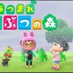 いまさらのあつ森配信14