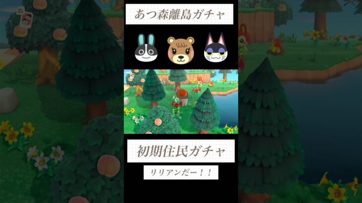 【あつ森】初期住民厳選マイル旅行券151枚目〜性格固定ガチャ５連#あつ森 #あつまれどうぶつの森 #離島ガチャ