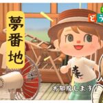 #17【#あつ森】和風島の夢番地、ま～ったりと観光する旅①｜和風島を目指して【#新人VTuber】【#初見さん大歓迎】【どう森歴２０年以上】