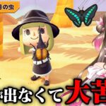 【あつ森】一年で1番大変！レア虫大量の8月の虫をコンプするまで何時間かかるかやってみた -2025年版-【あつまれどうぶつの森 るいぼす島編】
