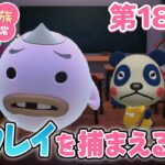 【あつ森アニメ】パンダ家族の日常 第183話「ユウレイを捕まえるぞ!!」