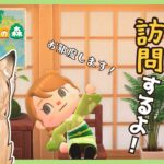 #18【#あつ森】和風島の夢番地を、ま～ったりと観光する旅②｜和風島を目指して【#新人VTuber】【#初見さん大歓迎】【どう森歴２０年以上】