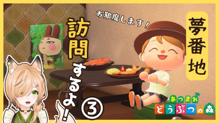 #19【#あつ森】いろんな島の夢番地を、ま～ったりと観光する旅③｜和風島を目指して【#新人VTuber】【#初見さん大歓迎】【どう森歴２０年以上】