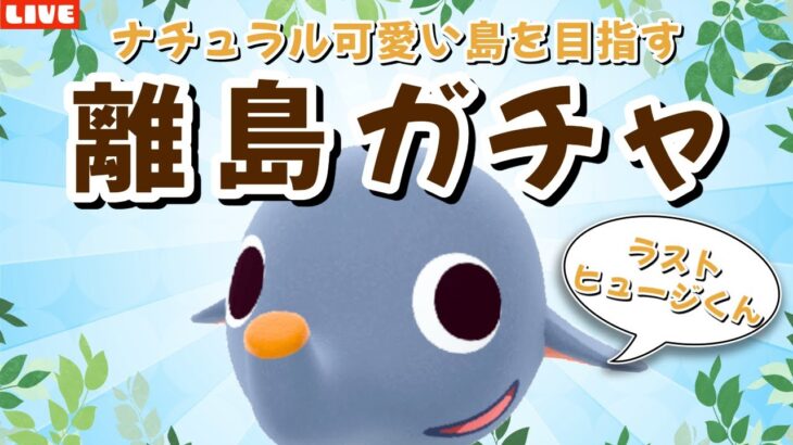 【あつ森】最後の1人ヒュージくん探す！可愛い住民探す離島ガチャ！ナチュラルかわいい島クリを目指すLIVE配信！【あつまれ どうぶつの森】