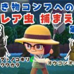 【あつ森】#2🪲ギラファとオウゴンオニクワガタ！８月のレアな虫を捕まえて生き物コンプしたい【ムシとり】