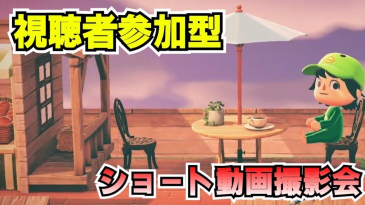 夢番地巡り！あつ森ショート動画撮影会！20時～！[あつまれどうぶつの森]