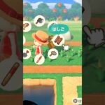 #あつ森#ライギョ#スネークヘッド#2025年#なかなかいないやつ#さくらんぼワンピース
