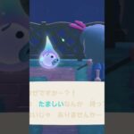 #あつ森#ゆうたろう#ゆうたろうに意地悪してみた#2025年