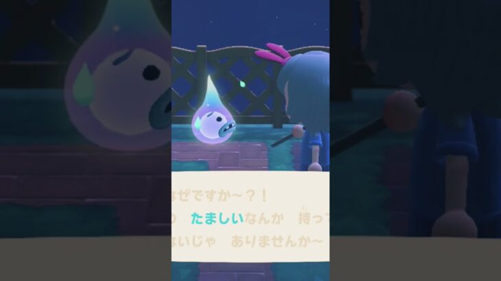 #あつ森#ゆうたろう#ゆうたろうに意地悪してみた#2025年