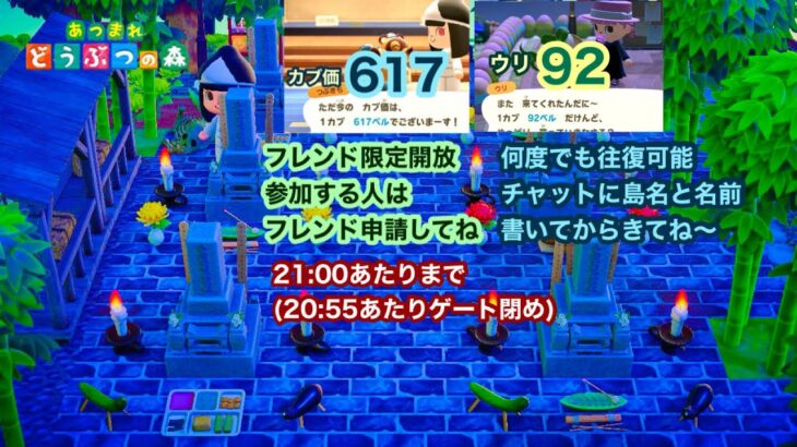 【あつ森】2025,8/16 カブ価617&ウリ92(21:00あたりまで)【フレンド限定開放、参加する人はフレンド申請してね】