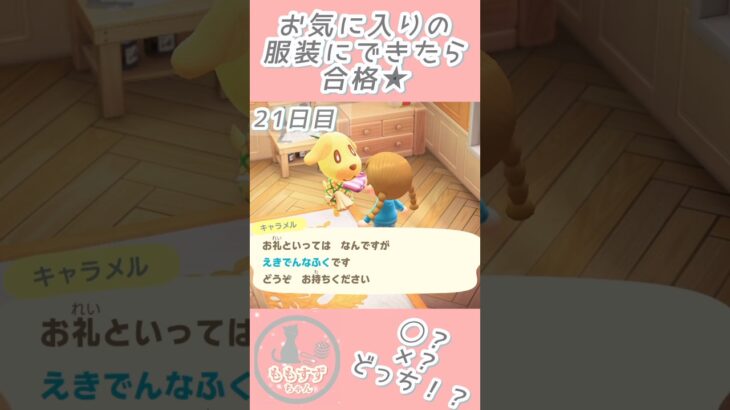 あつ森🏕️21〜24日目｜お気に入りの服装にできたら合格💡