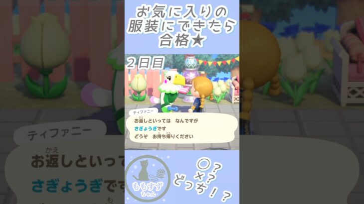 あつ森🏕️2・3日目｜お気に入りの服装にできたら合格💡