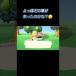 あつ森　#237　まったりしていきませんか？🐑✨️