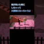 あつ森　#242　まったりしていきませんか？🐰✨️✨️