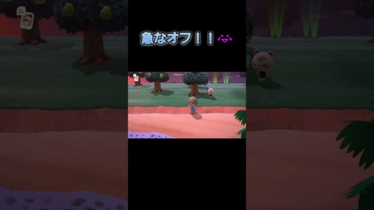 あつ森　#243　まったりしていきませんか？🐿️🎵