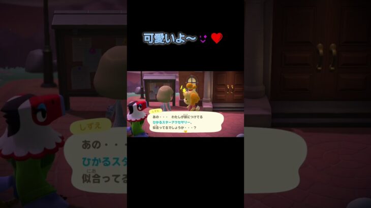あつ森　#249　まったりしていきませんか？🐩🌠