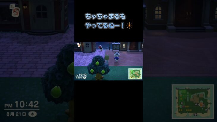 あつ森　#252　まったりしていきませんか？🐯🐑🎇
