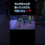 あつ森　#253　まったりしていきませんか？😺😻✨️
