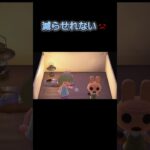 あつ森　#254　まったりしていきませんか？🐰✨️