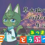 【あつ森】草木猫の のびの～び生活日記 #29 「光って咲くしんりょく花火」（ケモノ系VTuber）