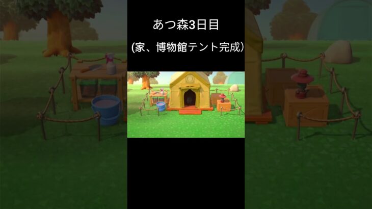 あつ森3日目（家、博物館テント完成）#あつまれどうぶつの森