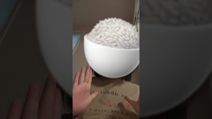 3度の飯よりゲームが好き！「あつ森」