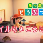 【あつ森】スローライフを求めて　3日目