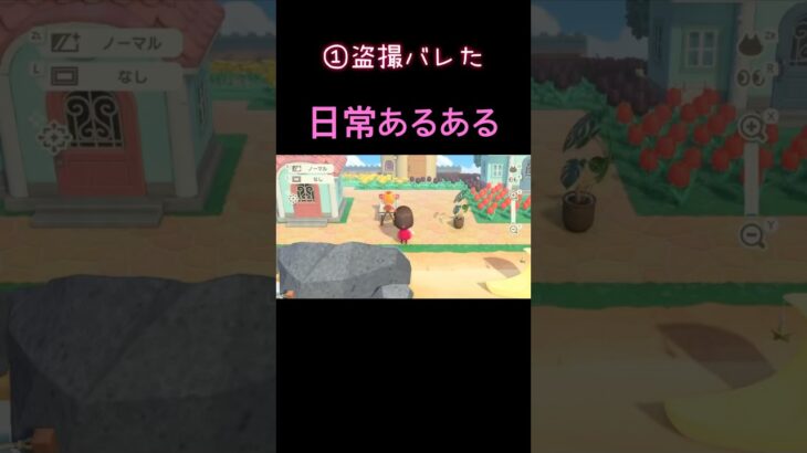 日常あるある3連発#あつ森 #animalcrossing