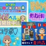 【概要欄必読】【あつ森】325時間目：急遽あつ森コラボ！withばむとこちゃんねる様💗島クリエイトードイツ島編#55ー＆カブ価645ベル開放中✨