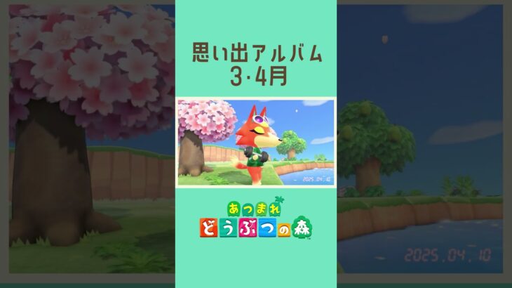 【配信切り抜き】ヒイラギ島思い出アルバム　3・4月② #あつ森  #あつまれどうぶつの森  #ゲーム実況  #切り抜き #shorts