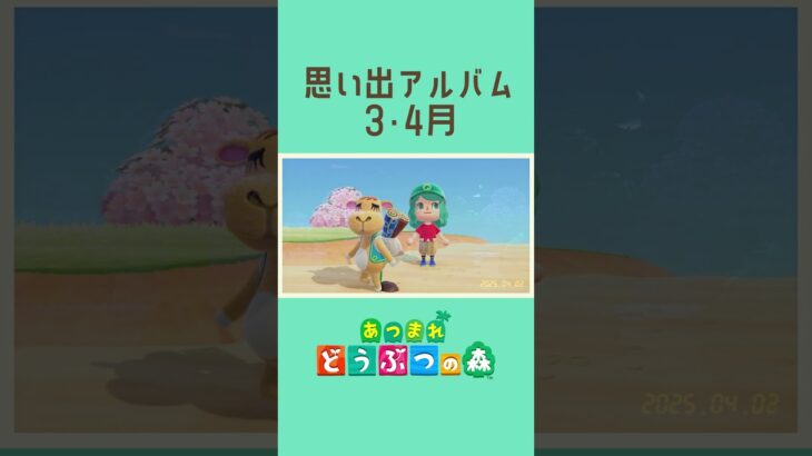 【配信切り抜き】ヒイラギ島思い出アルバム　3・4月① #あつ森  #あつまれどうぶつの森  #ゲーム実況  #切り抜き #shorts