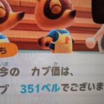 【あつ森】カブ351島開放中！高評価、チャンネル登録で無料です！