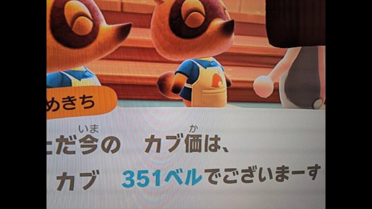【あつ森】カブ351島開放中！高評価、チャンネル登録で無料です！