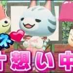 【あつ森アニメ】新作！ラムネ片想い中!?ストロベリーホームパパ36話（あつまれどうぶつの森）
