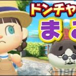 【あつ森アニメ】新作！ドンチャンの孫!?ストロベリーホームパパ37話（あつまれどうぶつの森）