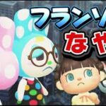 【あつ森アニメ】新作！フランソワの悩み!?ストロベリーホームパパ38話（あつまれどうぶつの森）
