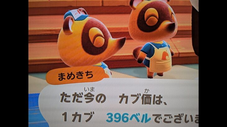 【あつ森】カブ396島開放中！高評価、チャンネル登録で無料です！