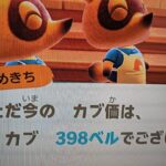【あつ森】カブ398島開放中！高評価、チャンネル登録で無料です！